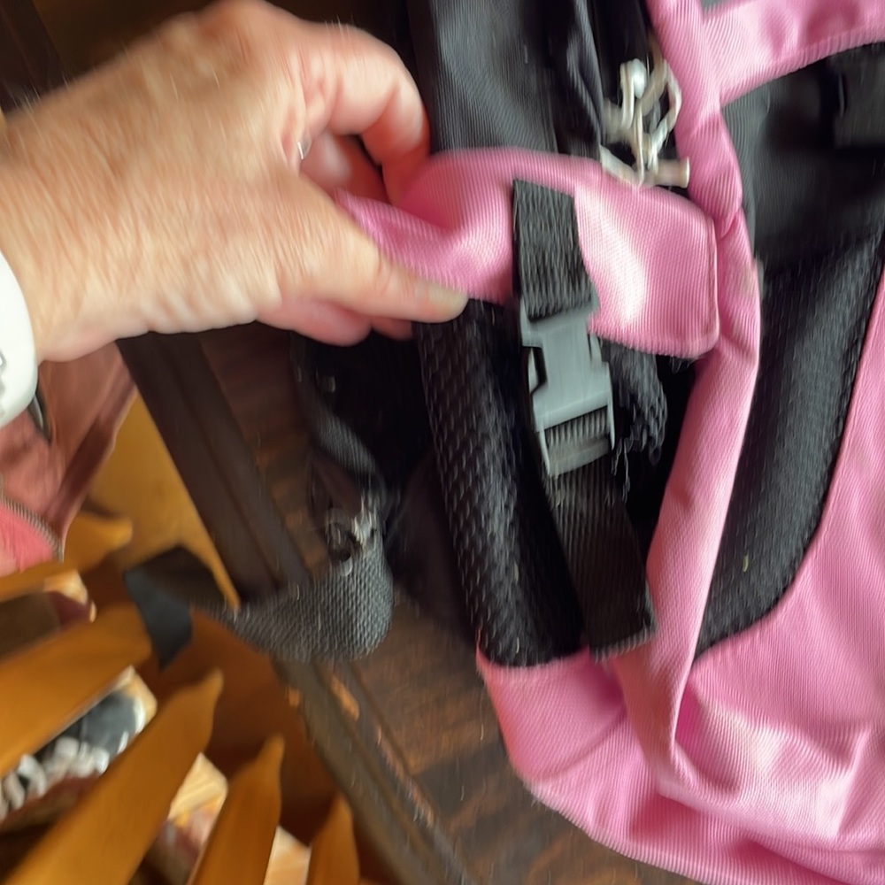 Backpack - Picture 3 of 5